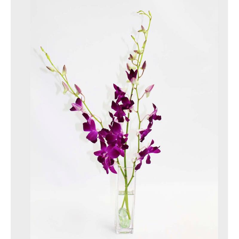 Fresh Cut Small Orchid Bunch in Glass Vase - Purple